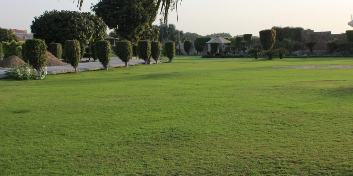 BAHRIA TOWN FARMHOUSE 05