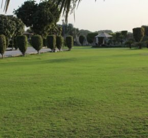 BAHRIA TOWN FARMHOUSE 05
