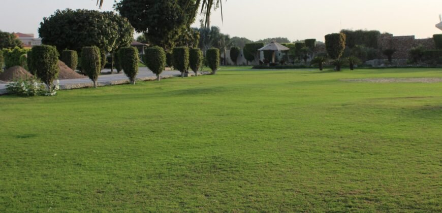 BAHRIA TOWN FARMHOUSE 05