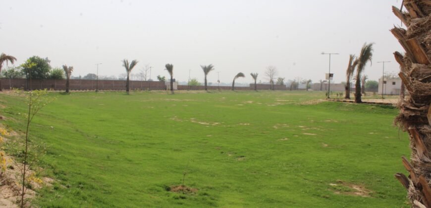 BEDIAN ROAD FARMHOUSE 10