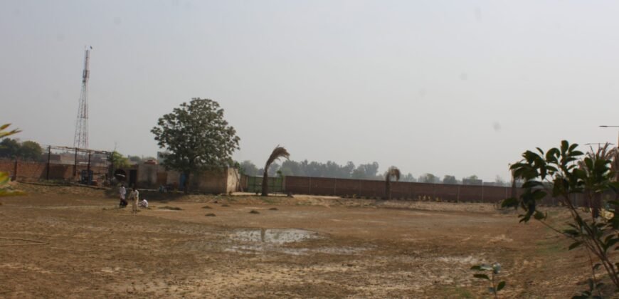 BEDIAN ROAD FARMHOUSE 10