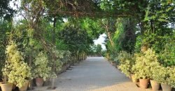 BEDIAN ROAD FARMHOUSE 08