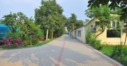 BEDIAN ROAD FARMHOUSE 08