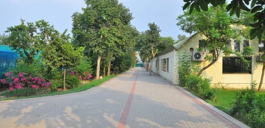 BEDIAN ROAD FARMHOUSE 08