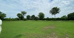 BEDIAN ROAD FARMHOUSE 12