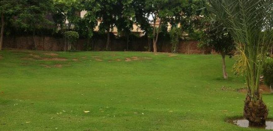 WAPDA TOWN FARMHOUSE 134
