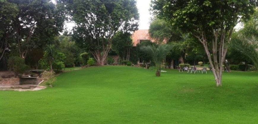 WAPDA TOWN FARMHOUSE 134