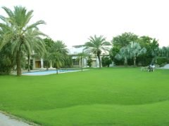 DHA FARMHOUSE 03