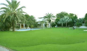 DHA FARMHOUSE 03