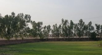 DHA FARMHOUSE 74