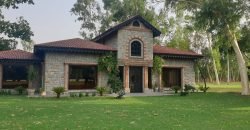 RAIWIND ROAD FARMHOUSE 15