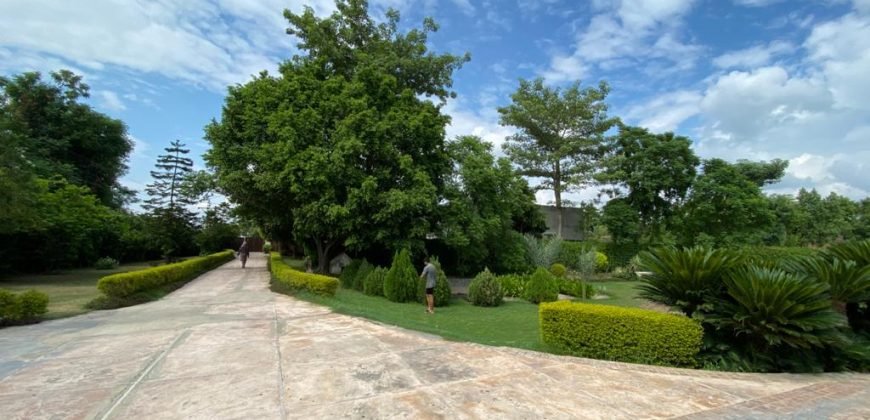 BEDIAN ROAD FARMHOUSE 12