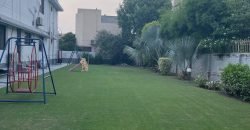 DHA FARMHOUSE 143