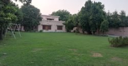 GARDEN TOWN FARMHOUSE 37
