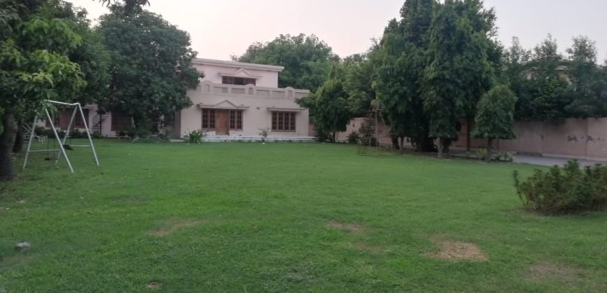 GARDEN TOWN FARMHOUSE 37