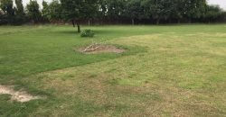 BARKI ROAD FARMHOUSE 50