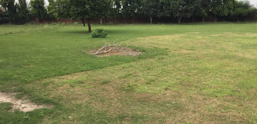 BARKI ROAD FARMHOUSE 50
