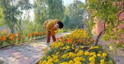 ISLAMABAD  FARMHOUSE 135