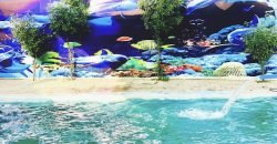 SWIMMING POOL SHAHDARA 37