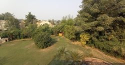 BEDIAN ROAD FARMHOUSE 41