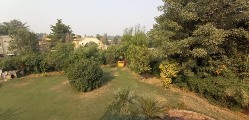 BEDIAN ROAD FARMHOUSE 41