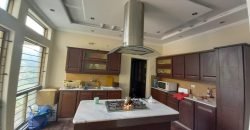 BEDIAN ROAD FARMHOUSE 41