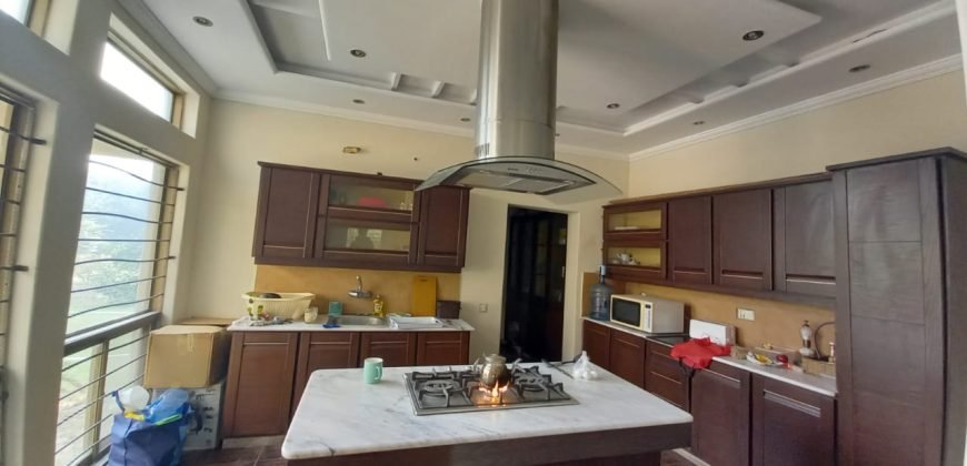 BEDIAN ROAD FARMHOUSE 41
