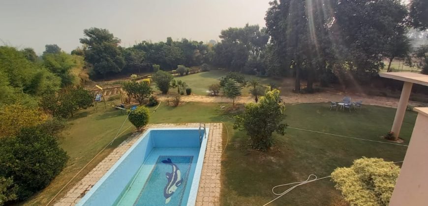 BEDIAN ROAD FARMHOUSE 41