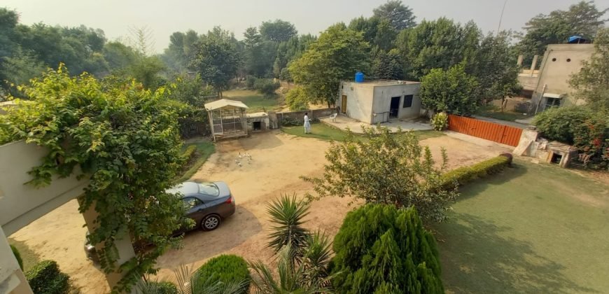 BEDIAN ROAD FARMHOUSE 41