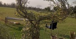 BEDIAN ROAD  FARMHOUSE 159