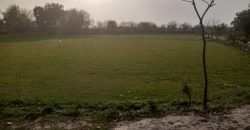 BEDIAN ROAD  FARMHOUSE 159