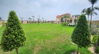 BARKI  ROAD FARMHOUSE 108