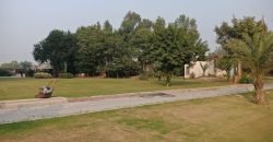 AIRPORT ROAD FARMHOUSE  97