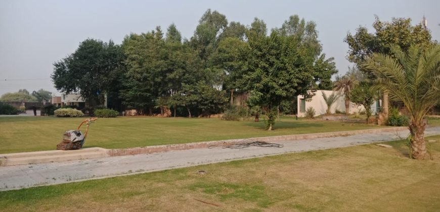 AIRPORT ROAD FARMHOUSE  97