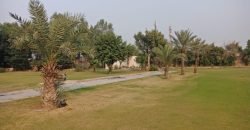 AIRPORT ROAD FARMHOUSE  97
