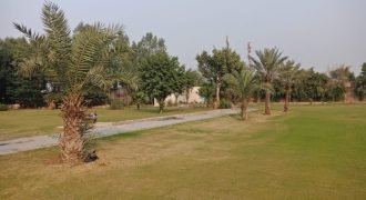 AIRPORT ROAD FARMHOUSE  97