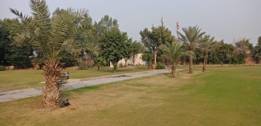 AIRPORT ROAD FARMHOUSE  97