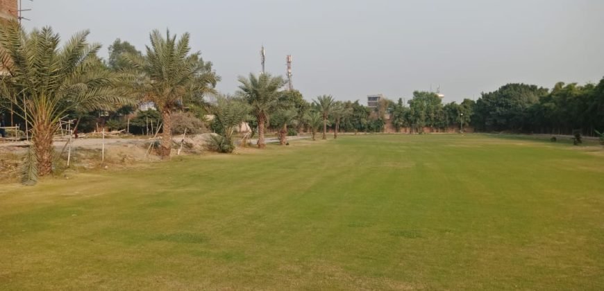 AIRPORT ROAD FARMHOUSE  97