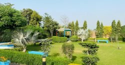 SWIMMING POOL BEDIAN ROAD 33