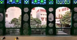 BAROD KHANA FARMHOUSAE 297