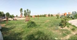 FAIZPUR FARMHOUSE 64