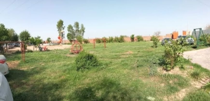 FAIZPUR FARMHOUSE 64
