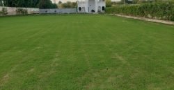 RAIWIND ROAD FARMHOUSE  147