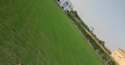 RAIWIND ROAD FARMHOUSE  147