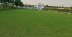 RAIWIND ROAD FARMHOUSE  147