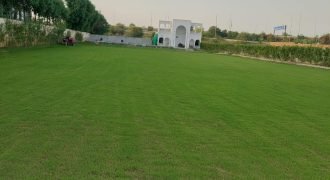RAIWIND ROAD FARMHOUSE  147