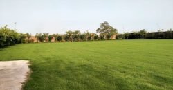 DHA FARMHOUSE 141