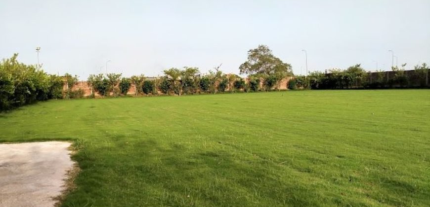 DHA FARMHOUSE 141
