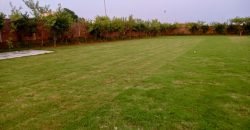 DHA FARMHOUSE 141