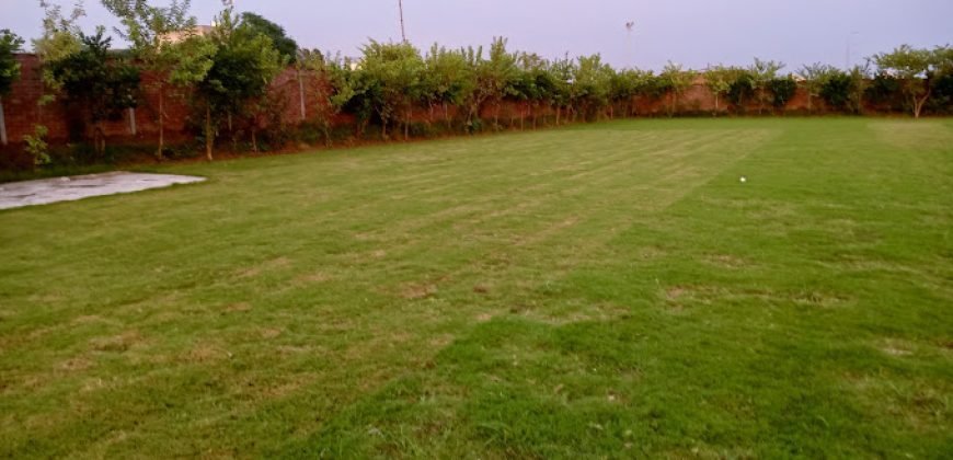DHA FARMHOUSE 141
